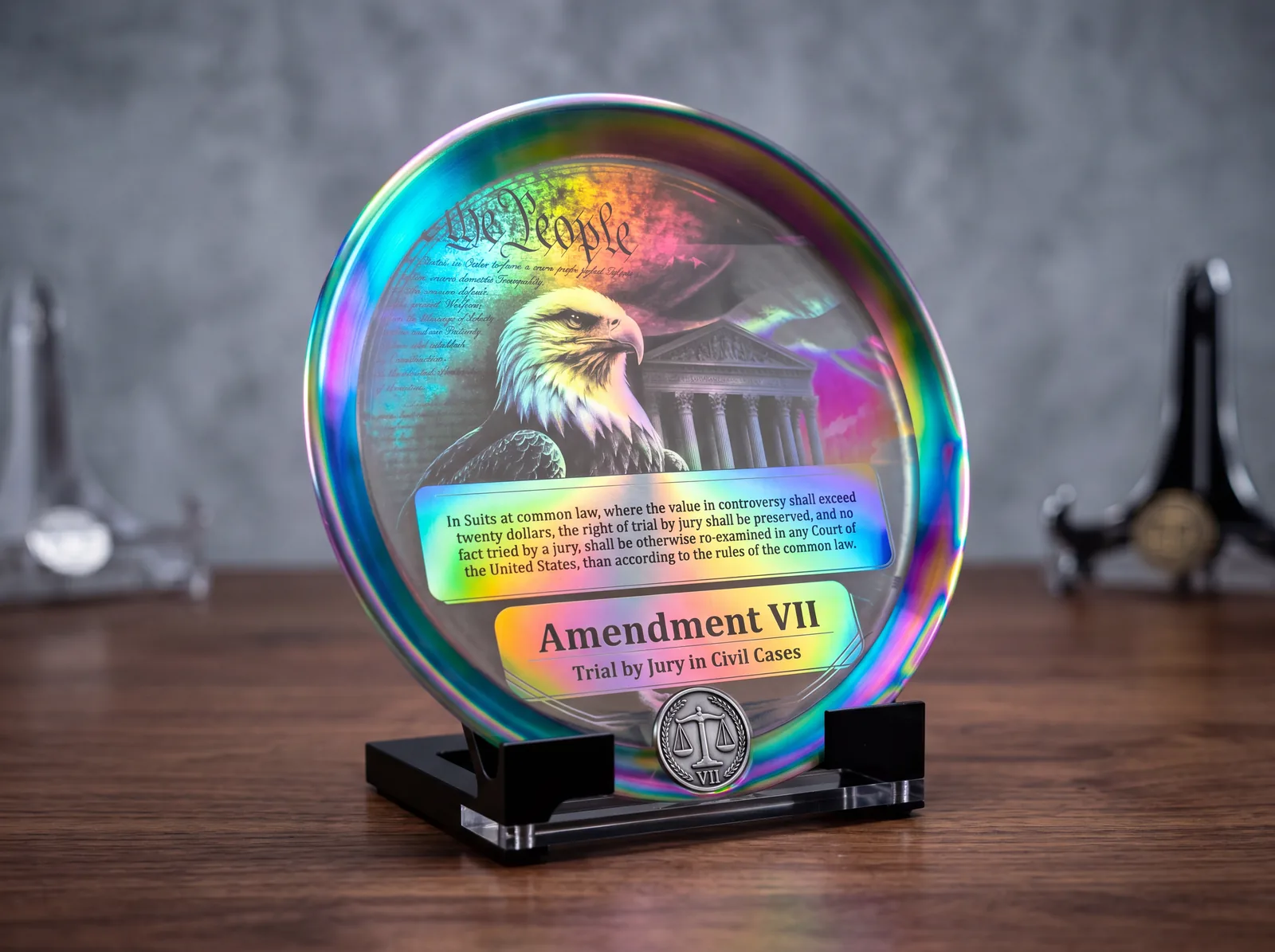 Rainbow stainless Amendment VII display plate